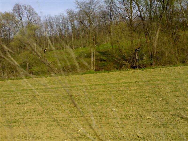 200704091778 .jpg